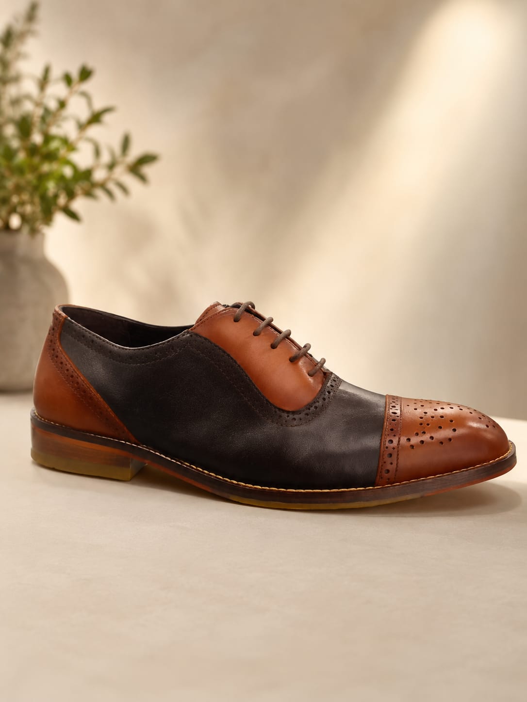 ZOXFORD 297206-1 CORDERO CAFE MIEL